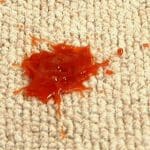 carpet stain carpet stain