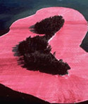 Christo Pink Islands