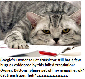 Google Translate - cat