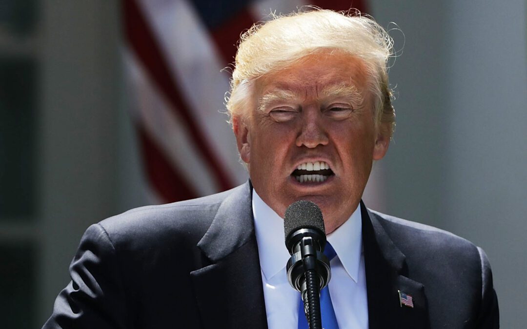 MAGA March Madness Brackets Preview